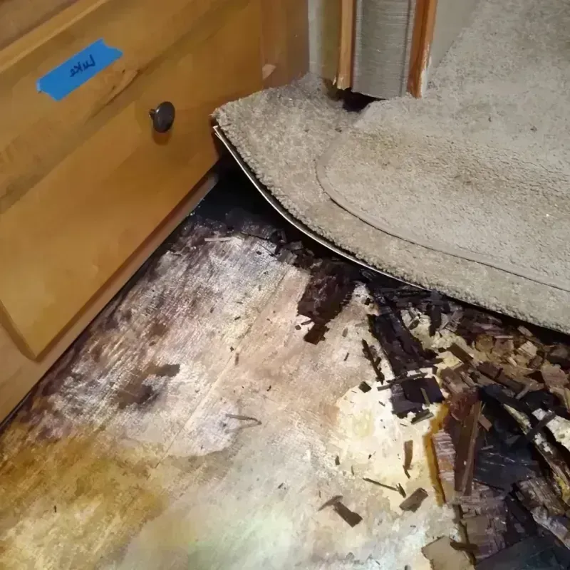 Wood Floor Water Damage in Stuart, FL